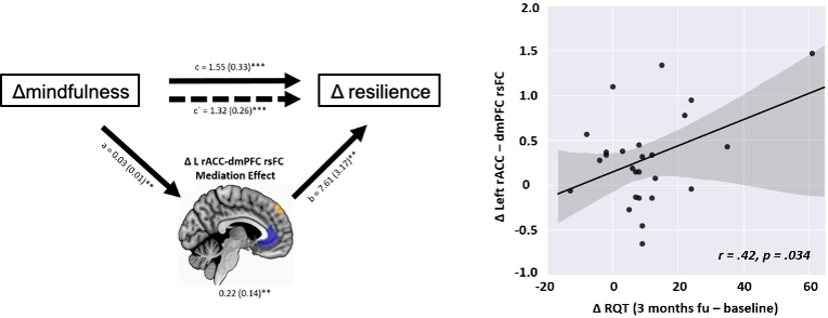 Anterior cingulate and dorsomedial prefrontal connectivity after a Templestay program