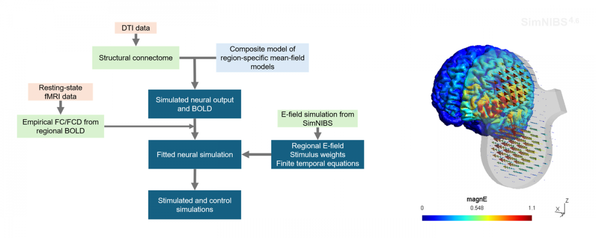 Pipeline for personalized whole-brain simulation of brain stimulation