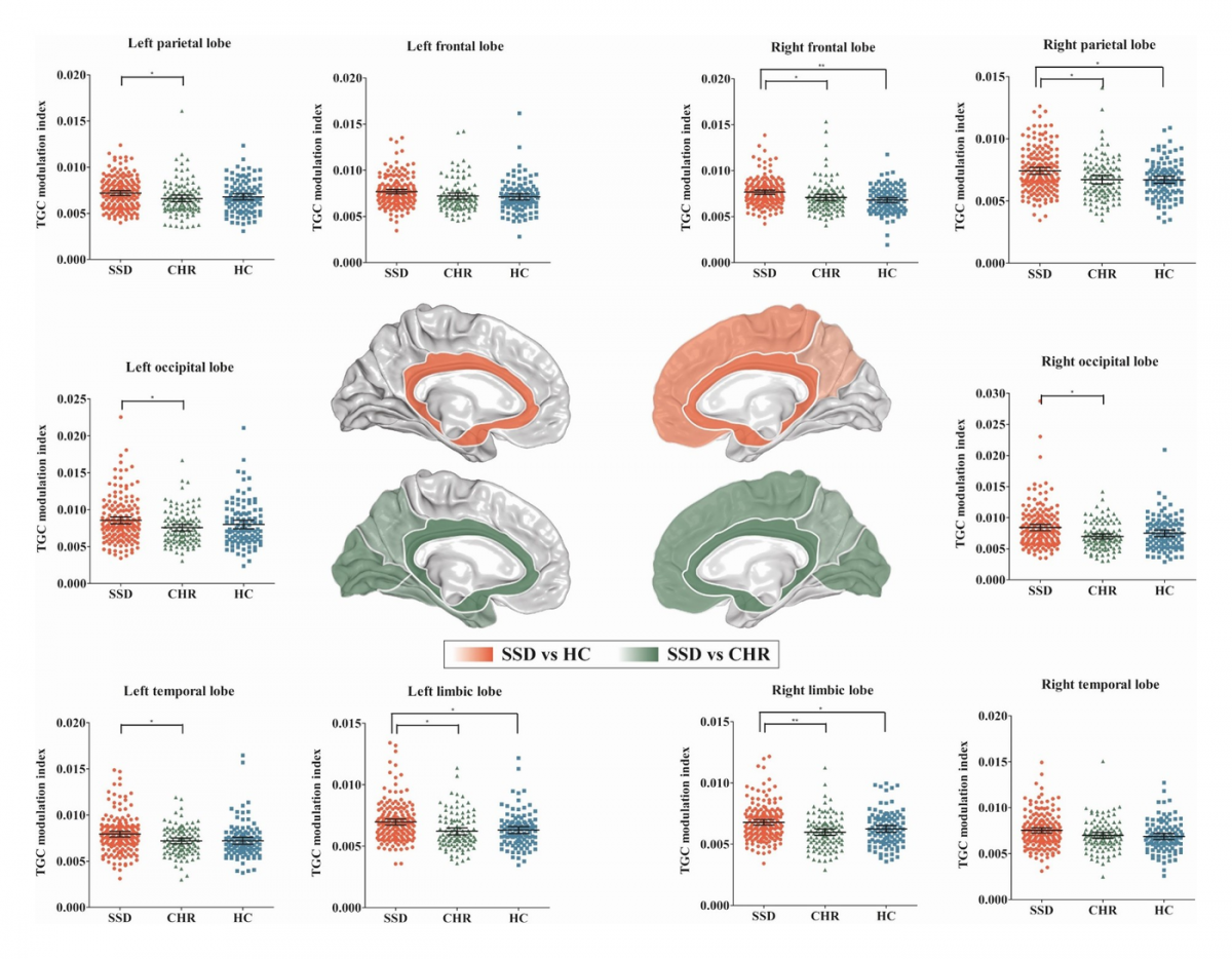 Thalamocortical dysrhythmia in schizophrenia spectrum disorder and clinical high risk